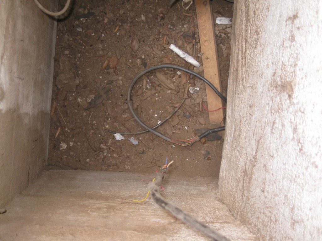 dead animal rot in your crawl space