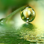 rain-drop-green