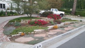 Hermosa Front Yard DG and Flagstone Walk with plants in winter season two years after planting.